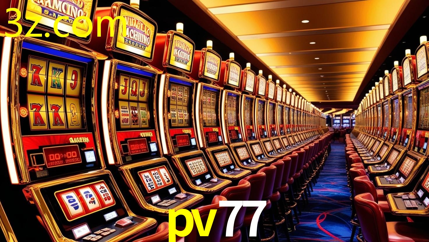 PV77.COM
