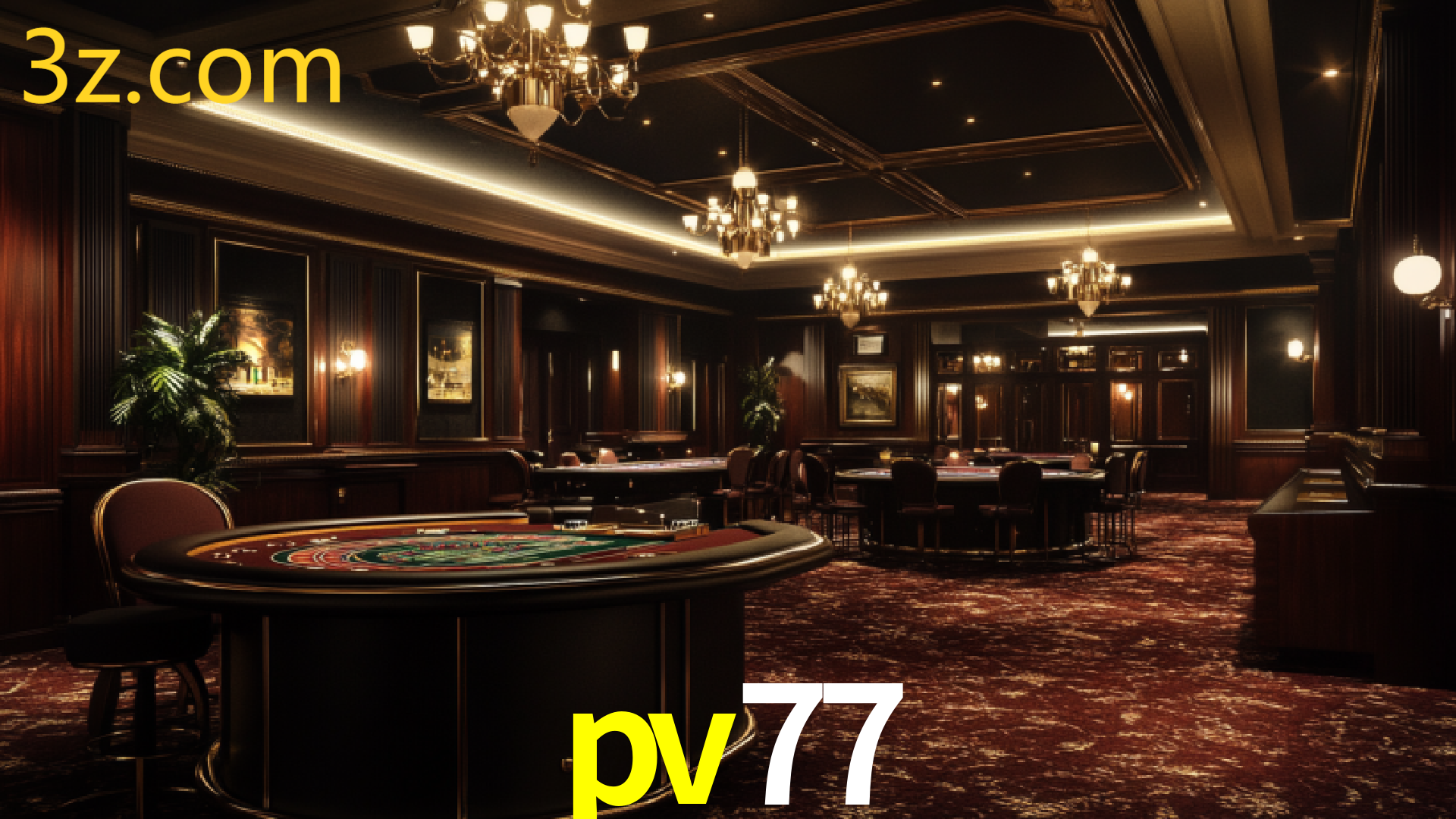 PV77.COM