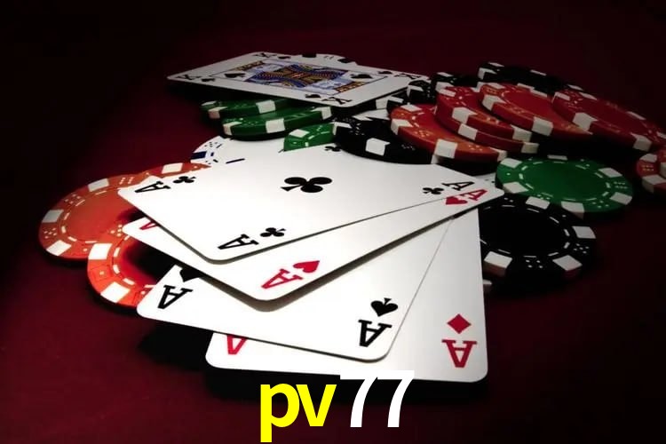 cassino pv77