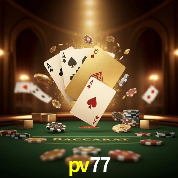 VIP Casino pv77